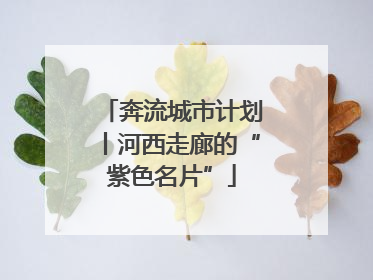 奔流城市计划丨河西走廊的“紫色名片”